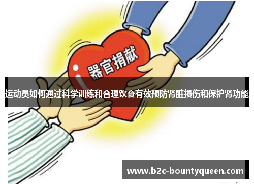 运动员如何通过科学训练和合理饮食有效预防肾脏损伤和保护肾功能 运动员如何通过科学训练和合理饮食有效预防肾脏损伤和保护肾功能