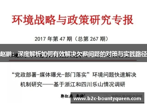 赵鹏：深度解析如何有效解决欠薪问题的对策与实践路径