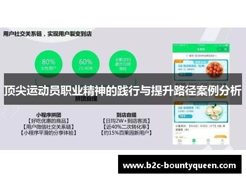 顶尖运动员职业精神的践行与提升路径案例分析 顶尖运动员职业精神的践行与提升路径案例分析